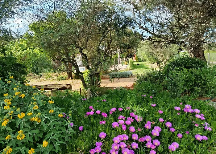 Apartamento Chez Cathie Et Denis - Dans Maison Familiale Beaucaire (Gard)